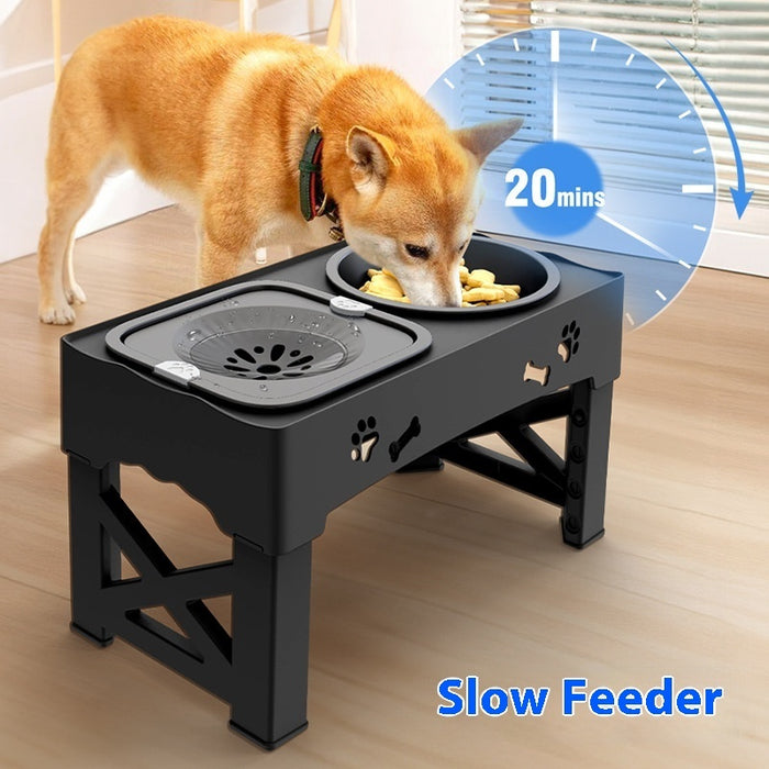 Double Bowl Integrated Lifting Pet feeder