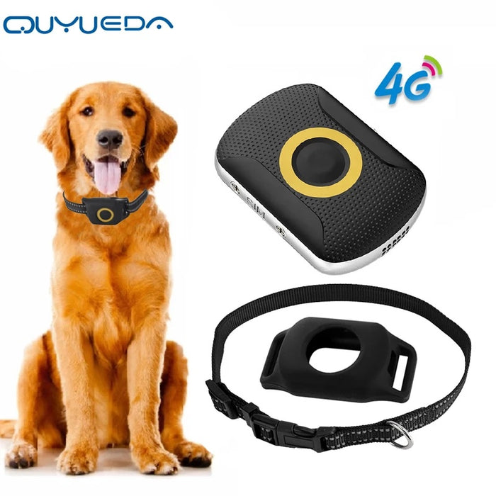 Top Quality Pet GPS Tracker Collar for Dogs Waterproof