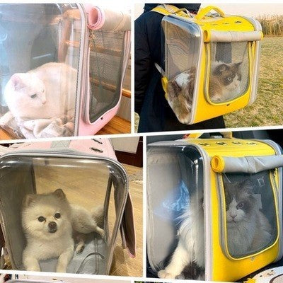 portable pet backpack