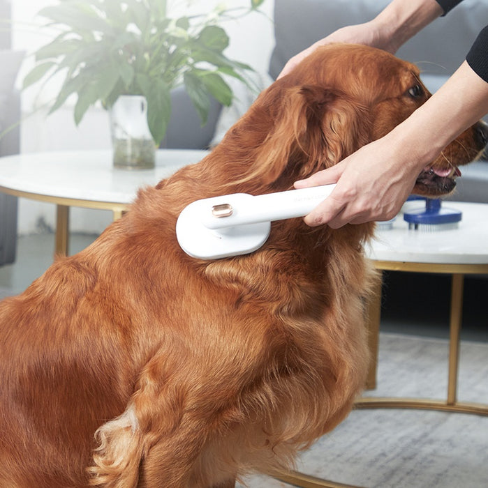 Hair Removal Artifact Pet Grooming Brush